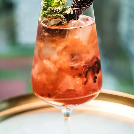 Lindner 酒店 布拉迪斯拉发